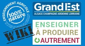 Enseigner à Produie Autrement Grand Est